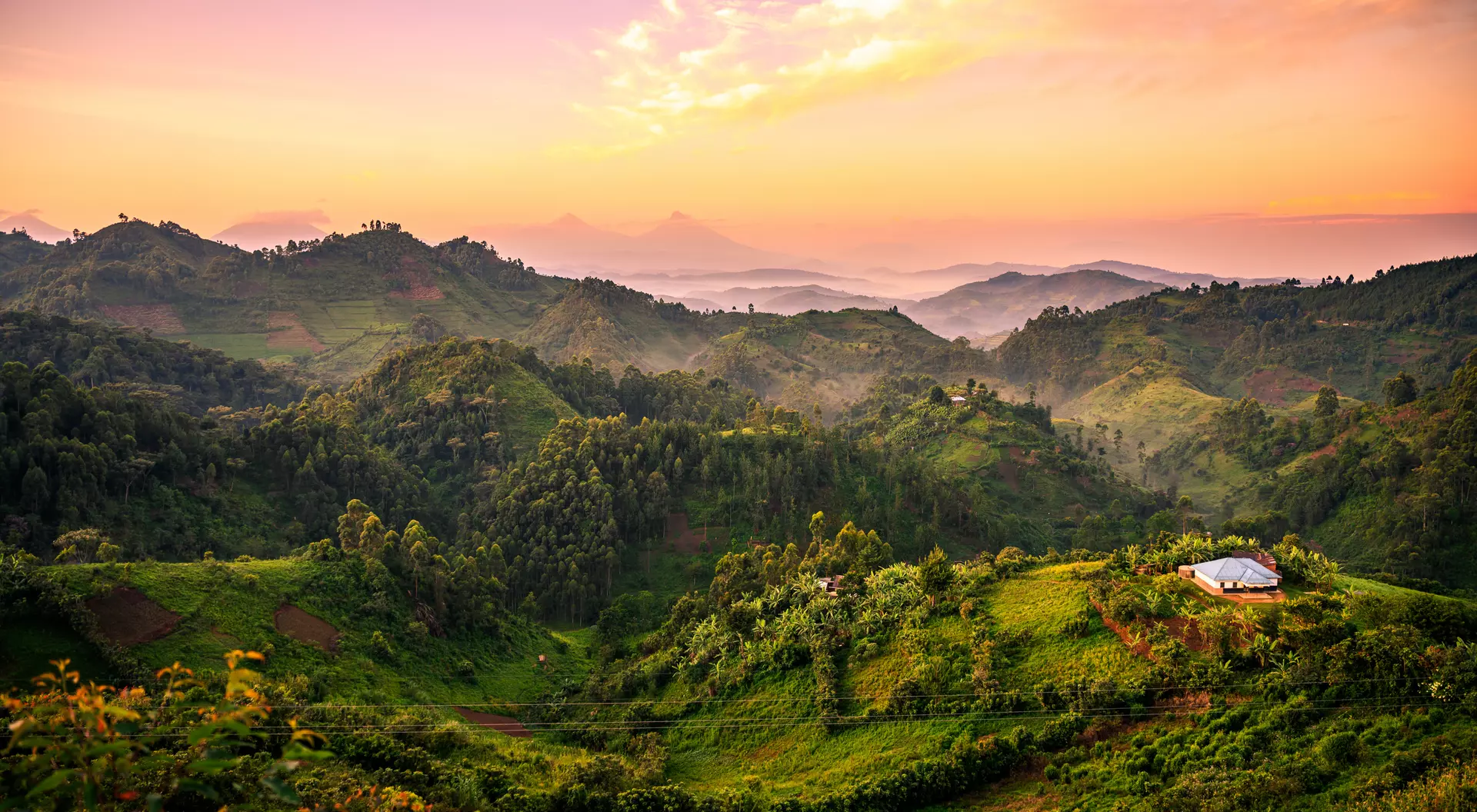 uganda